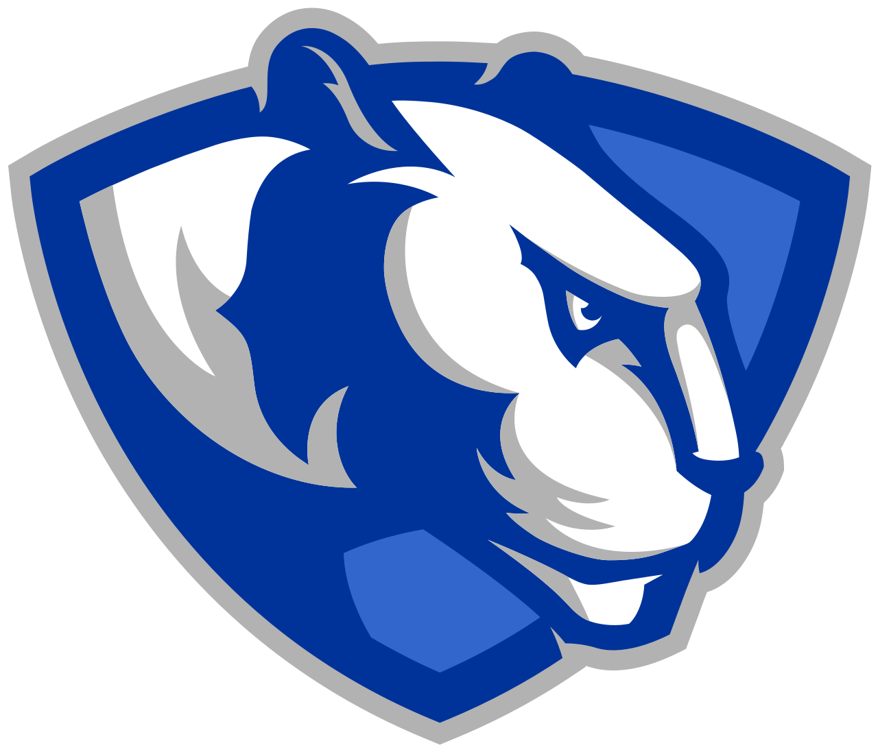 Eastern Illinois University logo